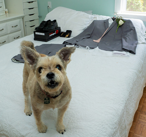 Photo-006